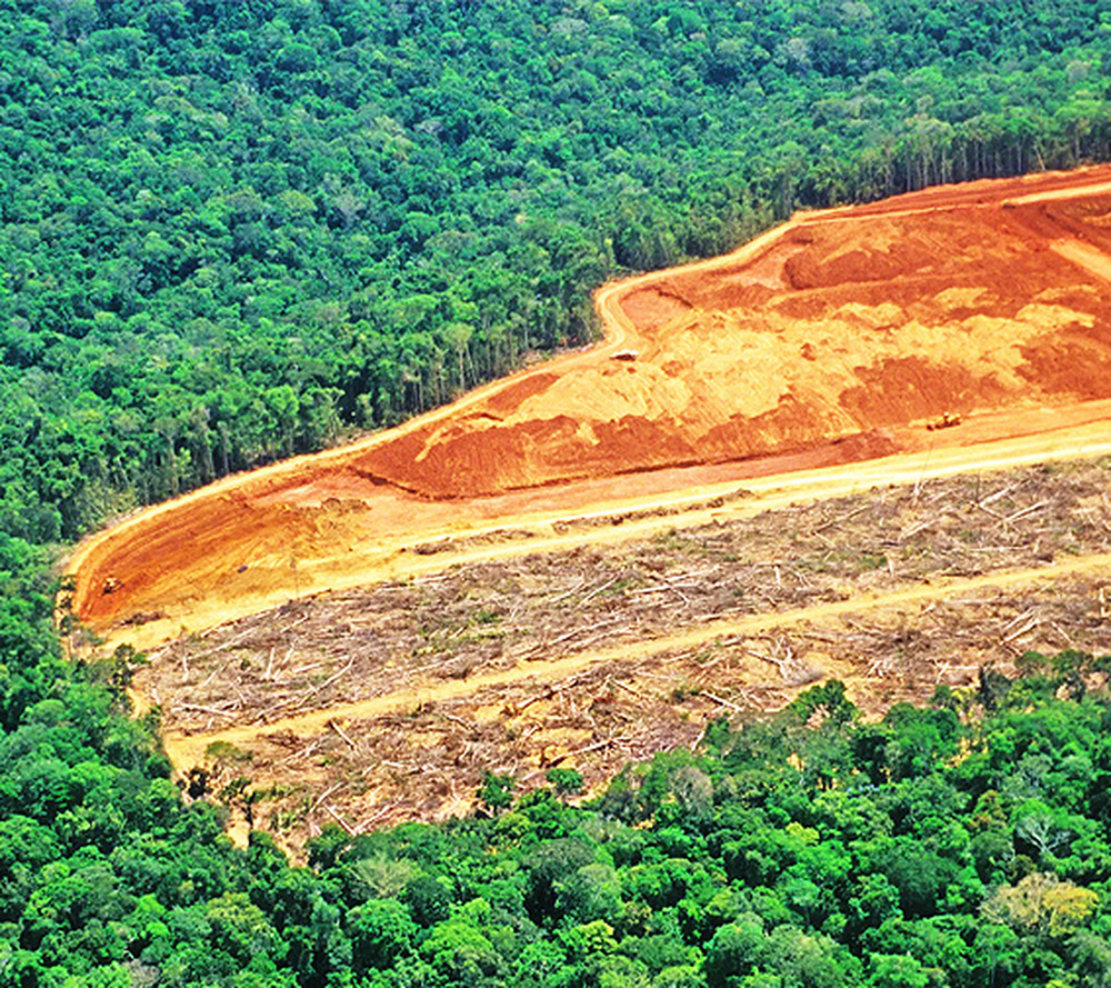 BNDES bloqueia financiamento a 58 proprietários rurais que desmataram