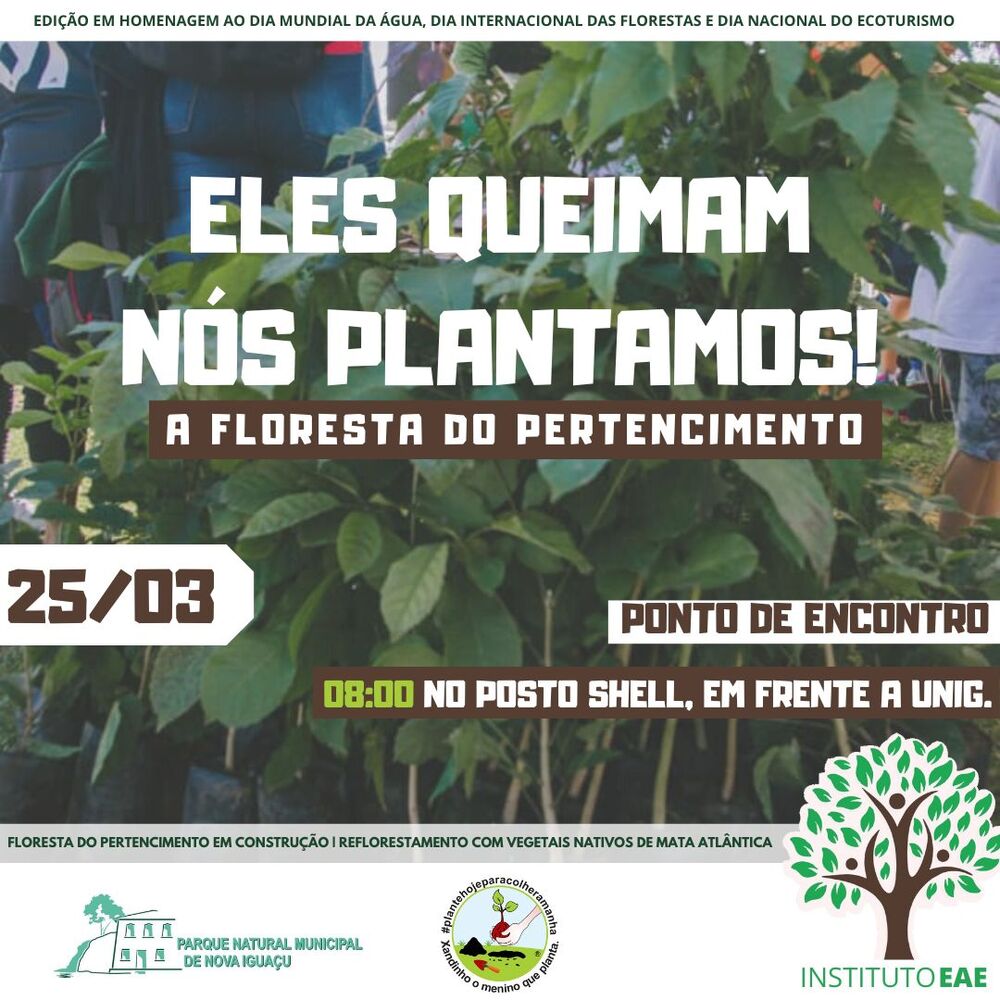 ELES QUEIMAM NÓS PLANTAMOS! A FLORESTA DO PERTENCIMENTO