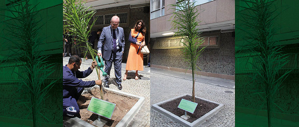Presidente do TJRJ defende práticas de sustentabilidade ao plantar muda nativa da Mata Atlântica no Fórum Central