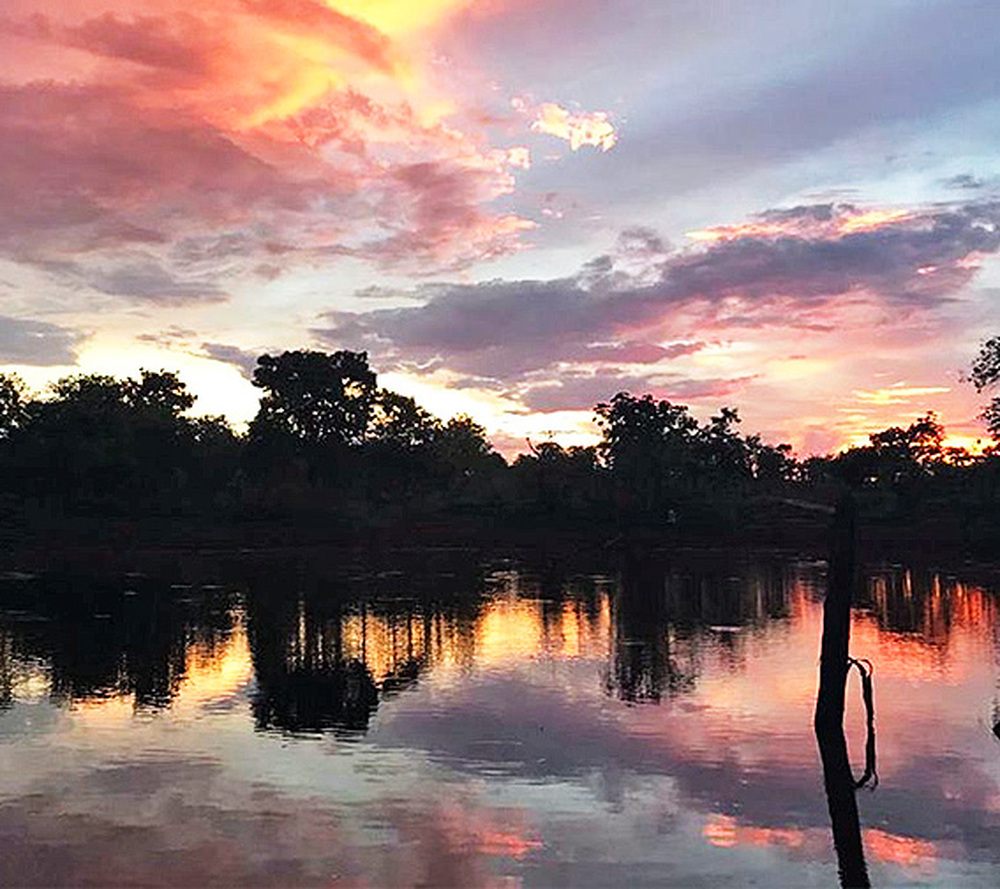 Dia Mundial da Água: Cerrado pode perder quase 34% da água até 2050