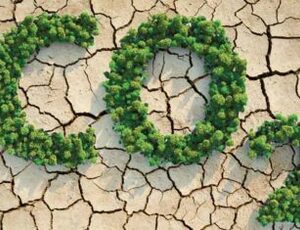 Economia verde: crédito de carbono e o Amapá