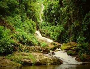 O investimento na Reserva Biológica do Tinguá (REBIO Tinguá) também é um importante destino turístico na região metropolitana