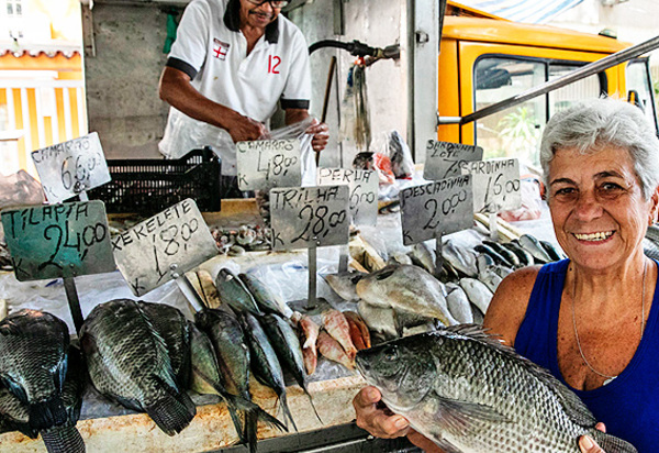 Governo do Estado celebra aumento da exportação de peixes produzidos no Rio e planeja novos incentivos