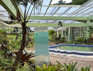 Jardim Botânico do Rio reabre bromeliário, após nove meses em obras