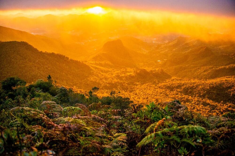 Secretaria do Ambiente e Inea abrem prazo para municípios participarem do ICMS Ecológico 2023