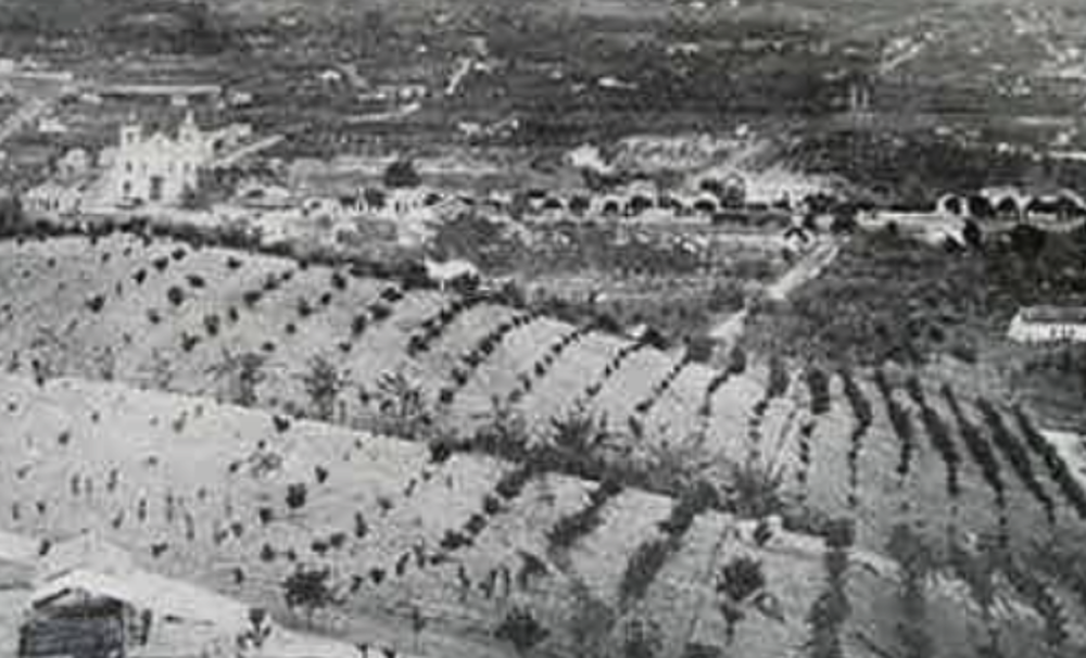 Baixada da Guanabara:Histórico de ocupação e povoamento de Nova Iguaçu, cana café e laranja