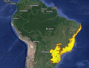 'O desaparecimento da Mata Atlântica está mais próximo do que imaginamos', aponta especialista