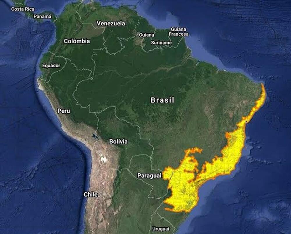 Comissões da Alerj discutem implementação da política de reflorestamento no estado do Rio