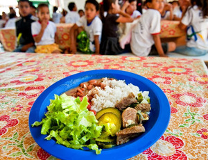 Governo repassa R? 2,5 bilhões em seis meses para alimentação escolar