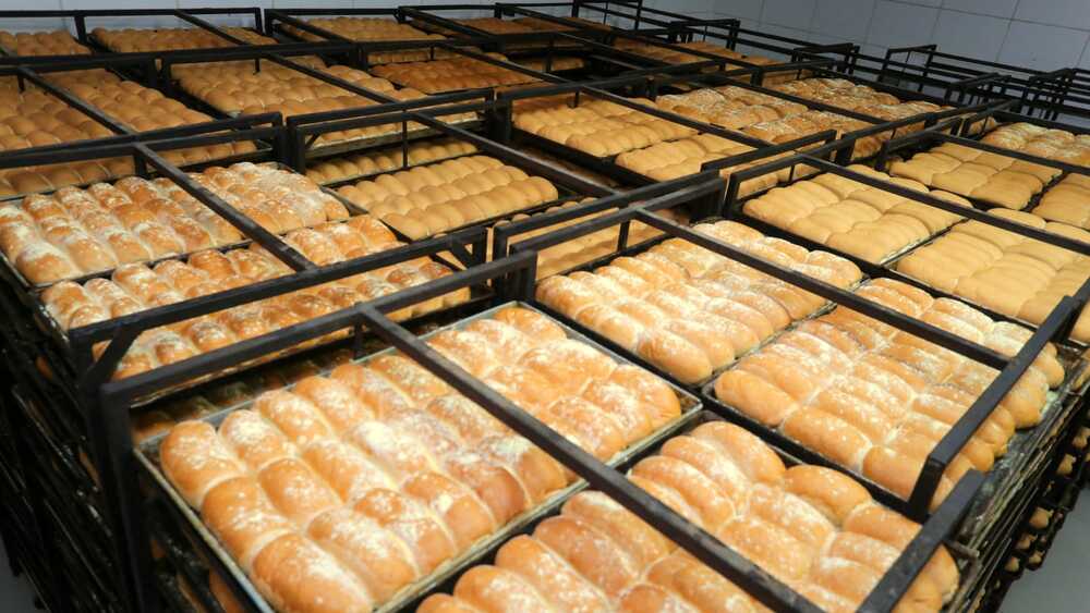 Padeiros do Café do Trabalhador produzem 14 mil pães por dia para a população fluminense