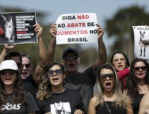 Manifestação pede fim da permissão para abate do jumento no Brasil 