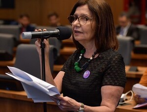 Deputada Martha Rocha (PDT), aprova acolhimento para famílias com histórico de violência doméstica e sexual