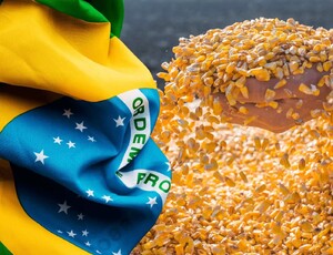 O Brasil se consolida como o maior exportador agrícola do mundo