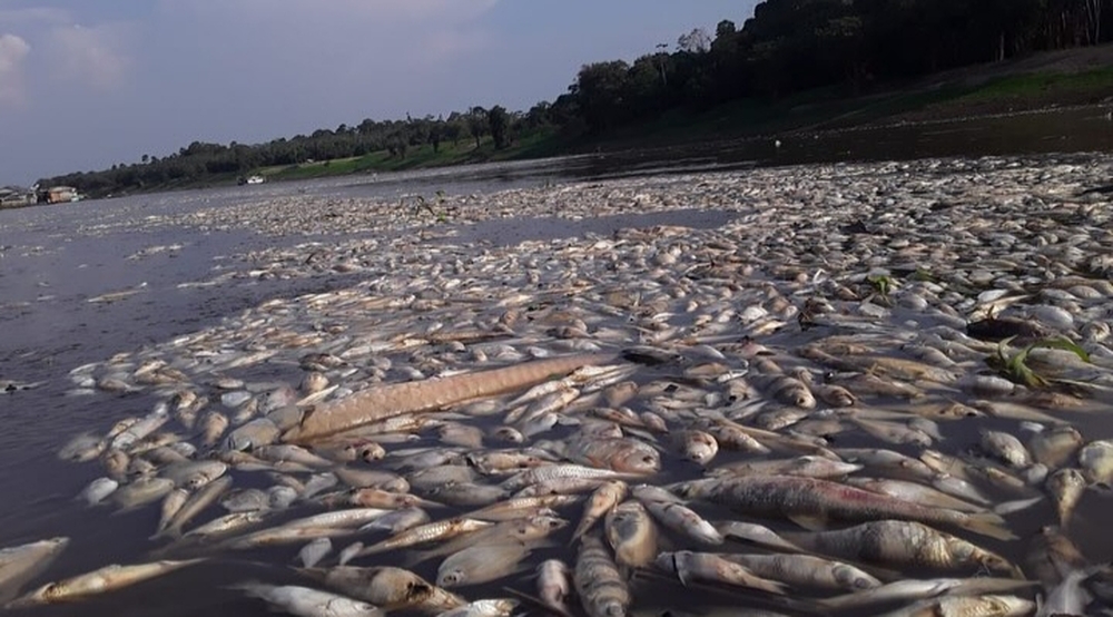Tragédias que infligem um caos humanitário ao país 