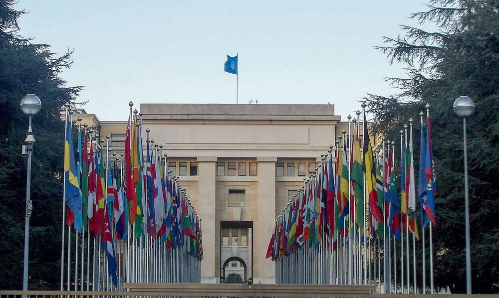 Chefes de agências da ONU pedem cessar-fogo imediato em Gaza