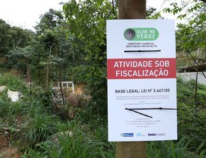 Desmatamento da Mata Atlântica reduz 66% no Rio de Janeiro em 2023