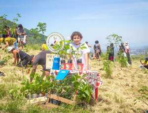 O menino que planta e parceiros plantam 200 árvores na Serra do Vulcão