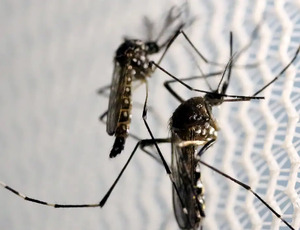 Rio de Janeiro registra caso de dengue tipo 4