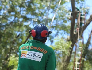 Prefeitura de Niterói e Enel criam gabinete de crise para tratar da arborização da cidade