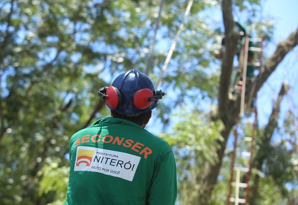 Prefeitura de Niterói e Enel criam gabinete de crise para tratar da arborização da cidade