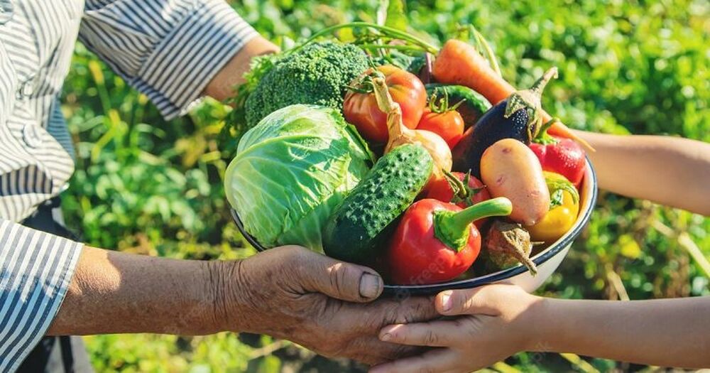 Câmara Temática de Agrocarbono Sustentável começa em março