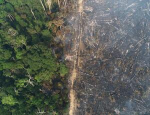 Amazônia tem alta de 286% nos focos de queimadas em fevereiro