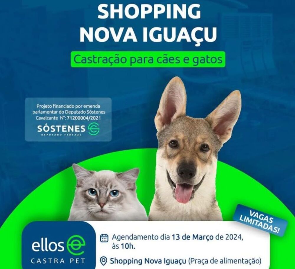 Projeto Ellos CASTRAPET chega no Shopping Nova Iguaçu