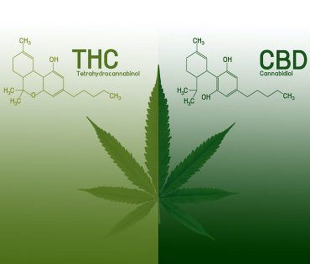 CCJ aprova PEC que criminaliza posse de qualquer quantidade de droga, contrariando STF