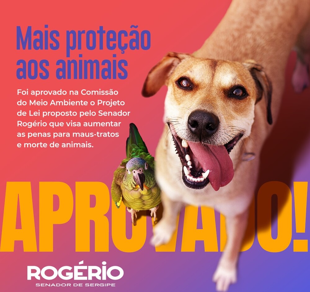 Senador Rogerio Carvalho aprova projeto que indica aumento das penas para crimes contra a fauna
