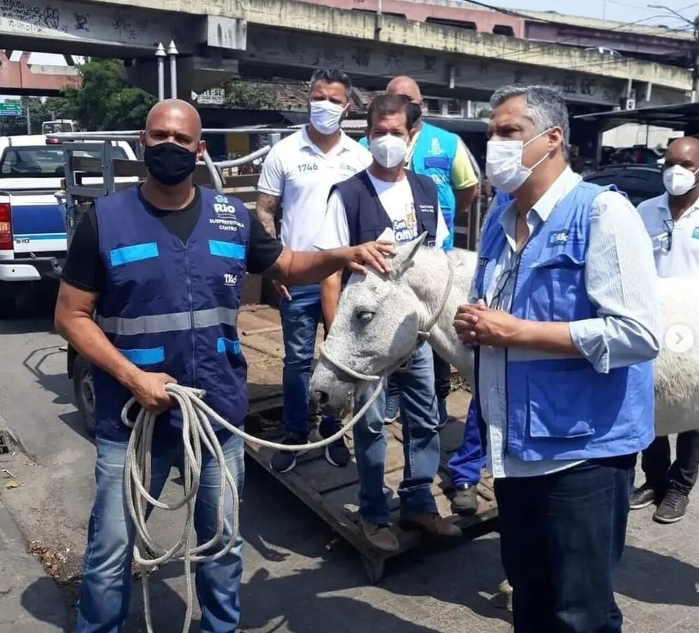 Ex-secretário de Paes aproveita o Dia Internacional do Cavalo para prestar contas e agradecer a servidores