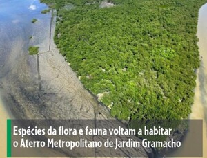 JARDIM GRAMACHO Renasce: Um Exemplo de Recuperação Ambiental para o BRASIL