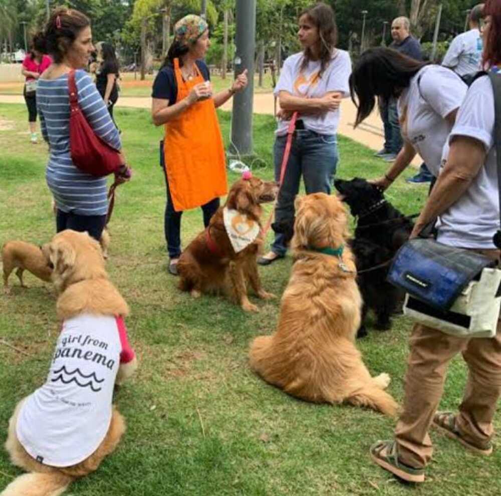 Microchipagem de cães e gatos cariocas