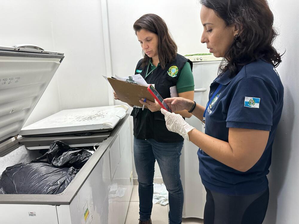 Mais de 10 cachorros mortos foram encontrados, sem identificação, em freezer de clínica