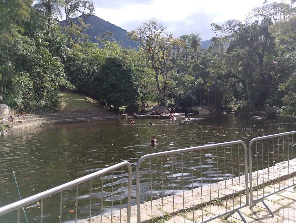 O verde da esperança: PROJETO ECO PRESENTE ilumina caminhos em TERESÓPOLIS