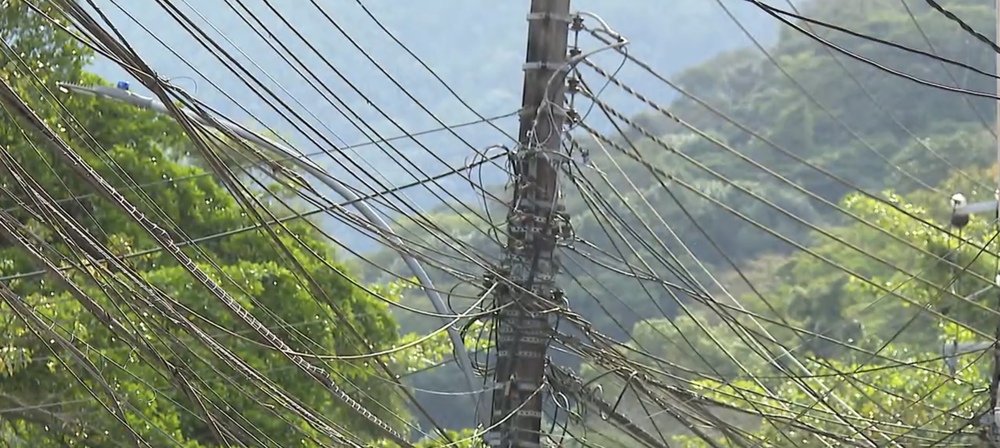 Concessionárias de energia podem ser obrigadas a custear tratamento de animais feridos em redes elétricas