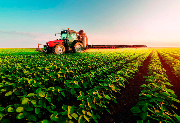 Agro é o destaque do crescimento do PIB no primeiro semestre de 2024