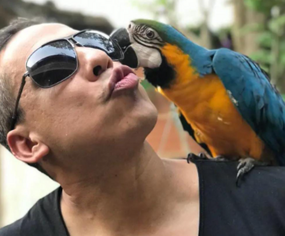 Flávio Pires Grande Empresário Carioca e Amigo das Celebridades  Comemora no dia de Hoje Mais uma Primaveira no Rio de Janeiro