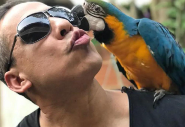 Flávio Pires Grande Empresário Carioca e Amigo das Celebridades  Comemora no dia de Hoje Mais uma Primaveira no Rio de Janeiro