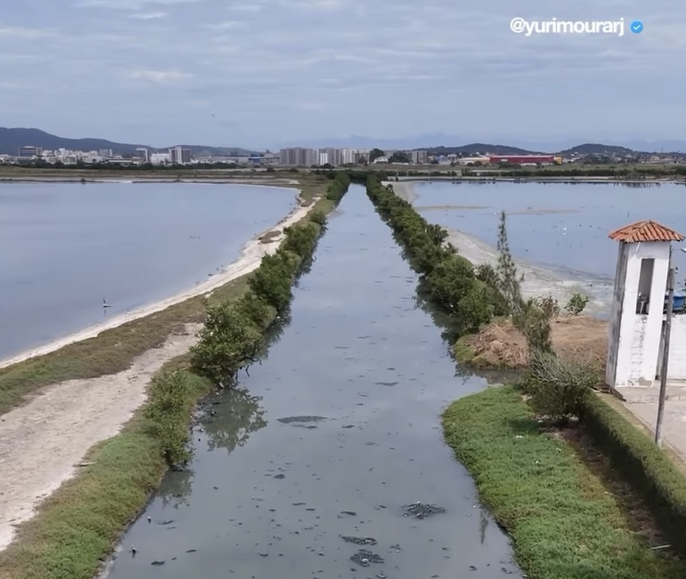 Negócios Ambientais: O Preço do Progresso?