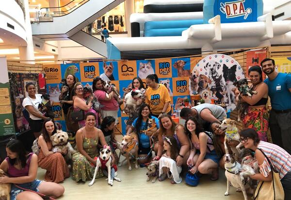 De graça: Segunda edição do Rio Pet Week começa neste domingo (27), no Shopping Nova América