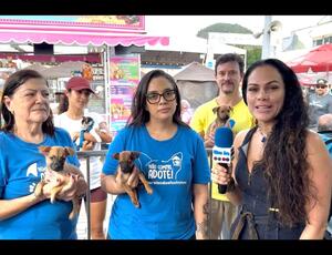 Amor e esperança: ONG Paraíso dos Focinhos celebra adoções no Quintal dos Botecos