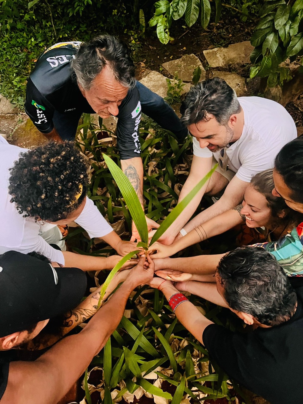 Festival Regenera transformará Brasília em polo de bem-estar, sustentabilidade e autoconhecimento