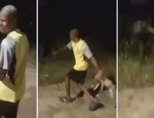 Até quando? Covardia contra filhote de vira-lata gera revolta na internet. Veja o vídeo