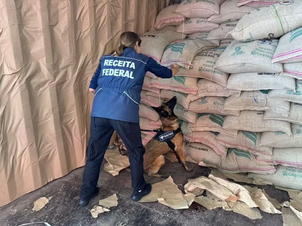 Cães farejadores desvendam esquema de duas toneladas de cocaína escondida em café no Porto do Rio
