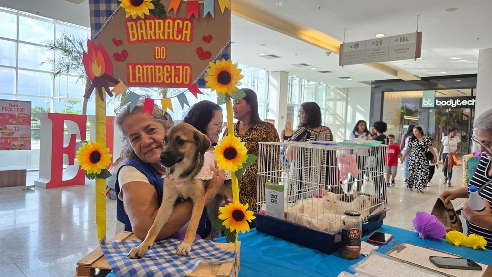 Feira de adoção de animais com tema de festa junina conquista público em Nova Iguaçu