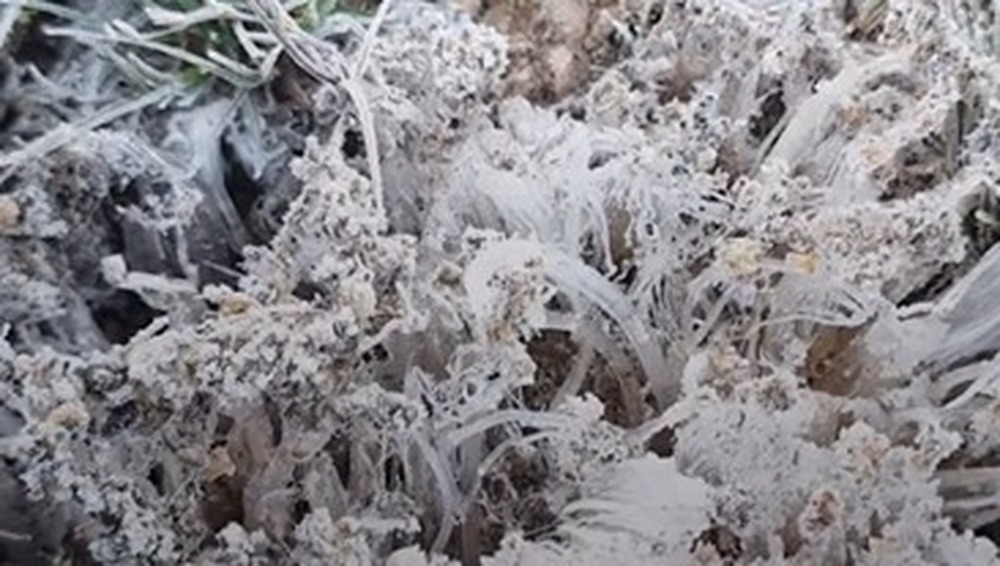 Parque Nacional do Itatiaia registra -9,4?°C e marca a menor temperatura do ano no Brasil