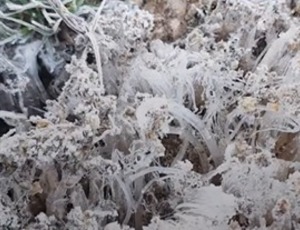 Parque Nacional do Itatiaia registra -9,4?°C e marca a menor temperatura do ano no Brasil