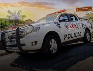 Profissionais de passeio com cães se especializam para atender mercado em expansão