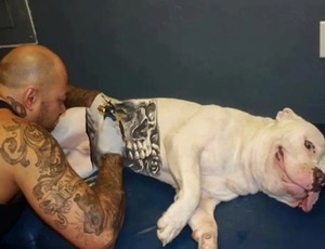 Lula sanciona lei que proíbe tatuagens e piercings em cães e gatos