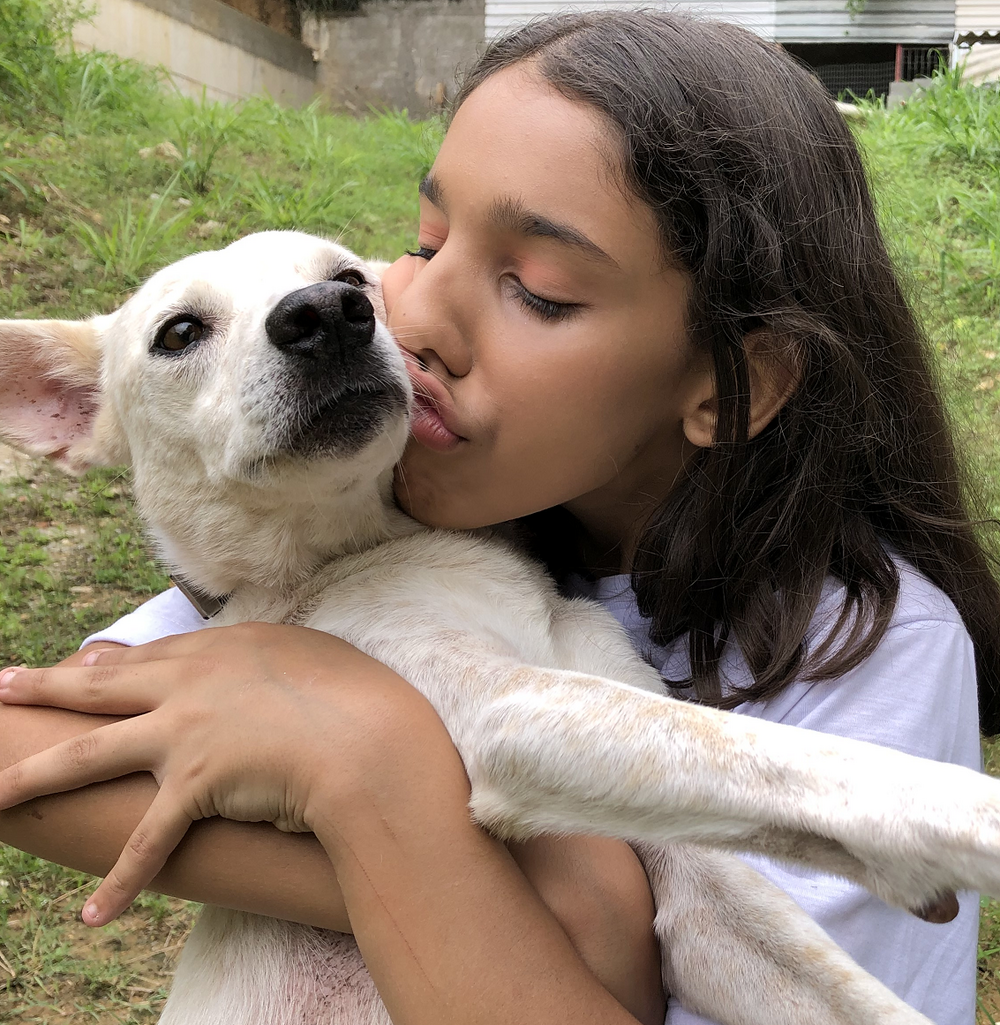 Esquecidos pelo Estado, lembrados por ativistas: nova força-tarefa quer garantir dignidade real aos animais no RJ